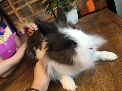 -藦茜花园宠物主题亲子互动体验馆(国顺东路店)