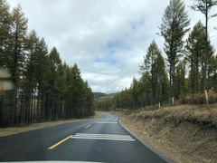 -塞罕坝国家级自然保护区