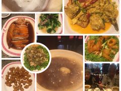 -中国城银都鱼翅酒楼