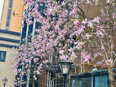 -必胜客(龙泉万达店)