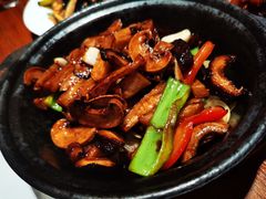 砂锅菌菇上素-京尊烤鸭店JINGZUN(春秀路店)