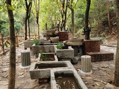 -广州白江湖森林公园