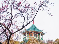 -无锡梅园公园