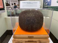 -中国茶叶博物馆(双峰馆区)