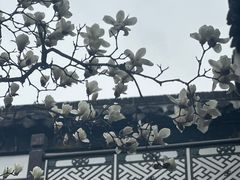 -何园