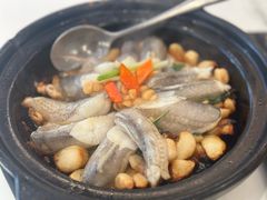 沙姜九肚鱼-神仙馆(衡山路店)