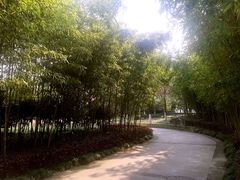 -上海市保健医疗中心(华东疗养院)