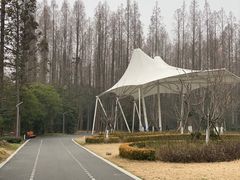-东平国家森林公园