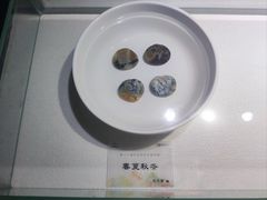 -仪征博物馆