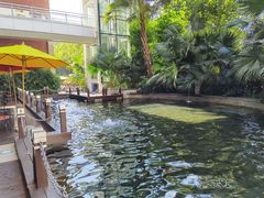 -Waterfall瀑布湾优健源(华侨城店)