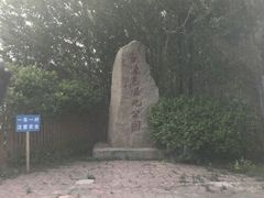 -白渔泡湿地公园