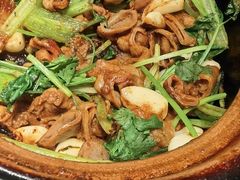 肥肠煲-煲煲好(朝阳门店)