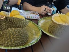 -榴莲BB 四季果园