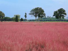 -汉长安城未央宫国家考古遗址公园