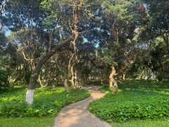 -黄埔荔枝公园