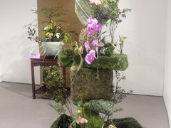 -深圳国际园林花卉博览园