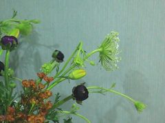 -循礼门鲜花花市(武汉循礼门店)