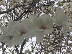 -睦南公园