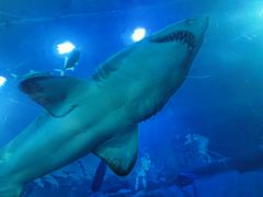 -成都浩海立方海洋公园