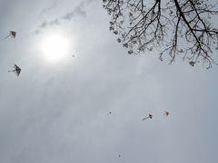 -汉长安城未央宫国家考古遗址公园