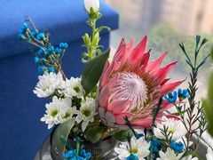 -金陵花卉交易市场