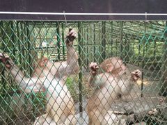 景点-藏龙百瀑风景区