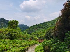 -桃花岭景区