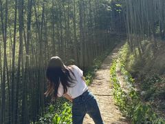-西安祥峪森林公园
