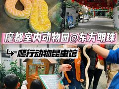 -上海大自然野生昆虫馆(东方明珠·爬宠昆虫探索中心)
