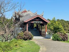 -上海海湾国家森林公园