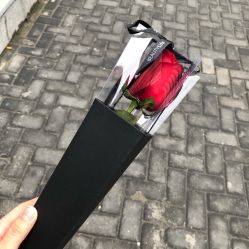 -京都造型·烫发·染发