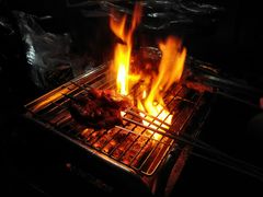 -崇明东平国家森林公园烧烤房车露营地