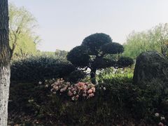 -上海鲜花港