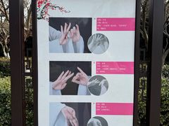 -梅园