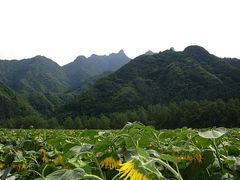 -雾灵西峰