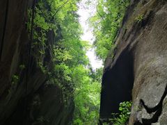 -黑河国家森林公园