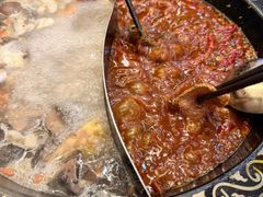 -小志家.野生菌鲜切牦牛肉牛杂火锅