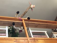 -长颈鹿咖啡(大学路店)