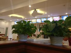 -守柴炉烤鸭(中海国际店)