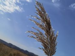 -处女泉风景名胜区