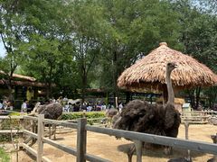 -北京野生动物园