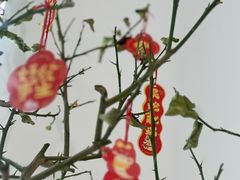 -万达广场(广州番禺店)