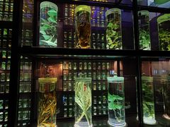 -广州神农草堂中医药博物馆