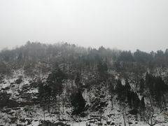 -秦岭风景区