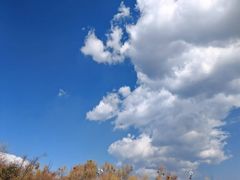-洱海月湿地公园