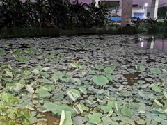 -正嘢私房菜