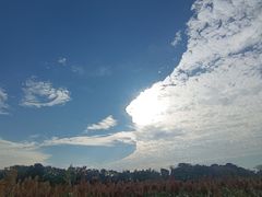 -尚贤河湿地