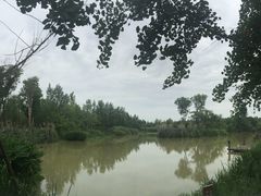 -白鹭湾湿地公园