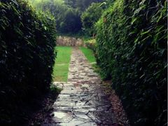 iphone_upload_pic-天目湖涵田度假村
