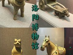 -洛阳博物馆